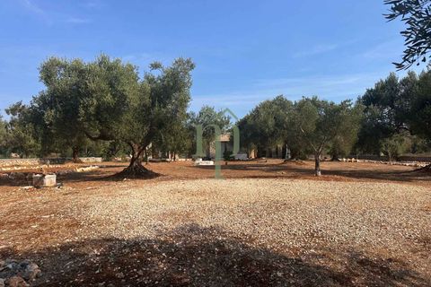 Villa i Carovigno, Brindisi, Carovigno - € 340.000 | Ref: Villa Casellini - foto 8